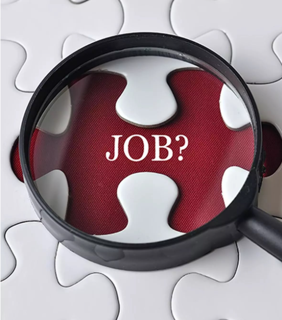 India employment provisionally grew at 6% in FY24 vs 3.2% in FY23.