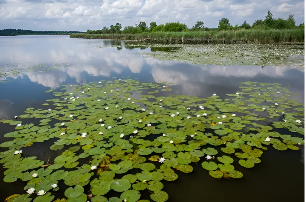 UNESCO names 11 new biospheres in 11 countries.
