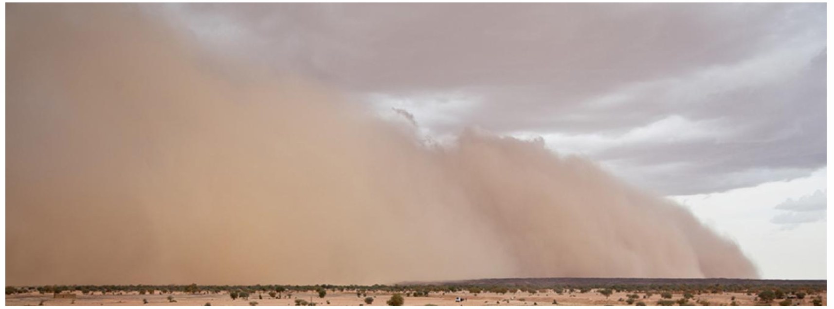 World celebrated International Day of Combating Sand and Dust Storms on July 12, 2024.