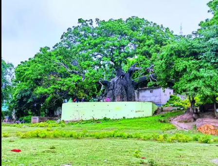 UP Introduces Upvan Yojna and Heritage Tree Adoption to Improve Green Cover.
