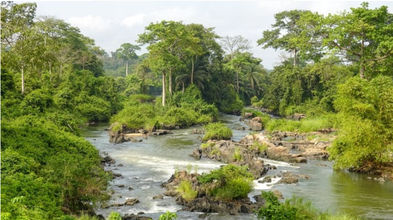 Zimbabwe Joins UN Water Conventions to Enhance Transboundary Cooperation.
