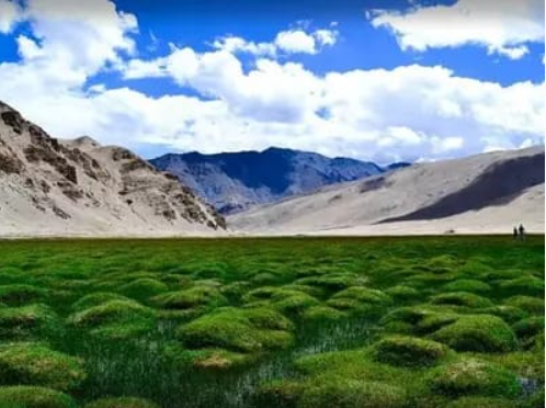 3 Indian Destinations Featured in TIME Magazine's World's Greatest Places of 2024.
