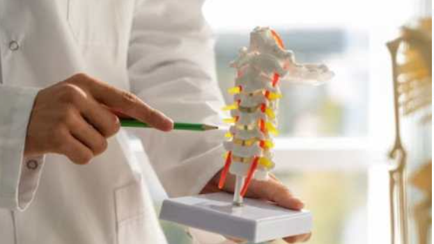 National bone & joint day is celebrated on 4 August 2024.
