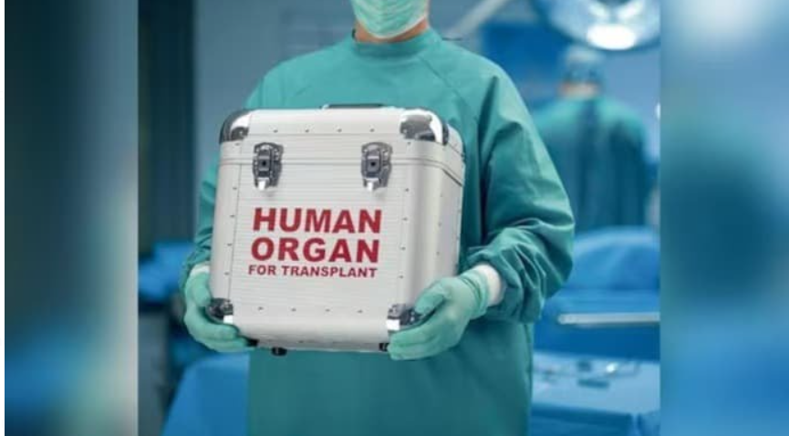 MoHFW Issues Standard Operating Procedures (SOPs) for Transporting Human Organs via Various Modes of Travel.
