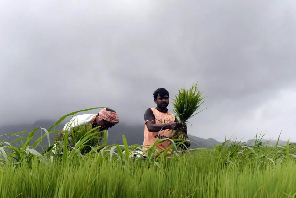 According to WTO(World Trade Organization) Report, India Retains 8th Position in Global Agricultural Exports.
