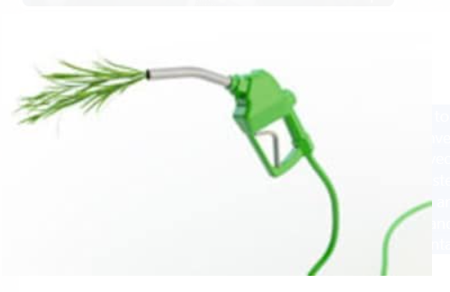 World bio-fuel day is celebrated on 10 August.
