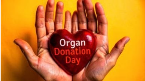 World organ donation day is celebrated on 13 August 2024.
