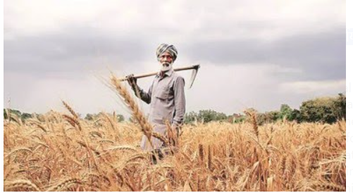 MoS(Minister of State) Bhagirath Choudhary Launches Digital Geo-Spatial Platform 'Krishi Decision Support System'.