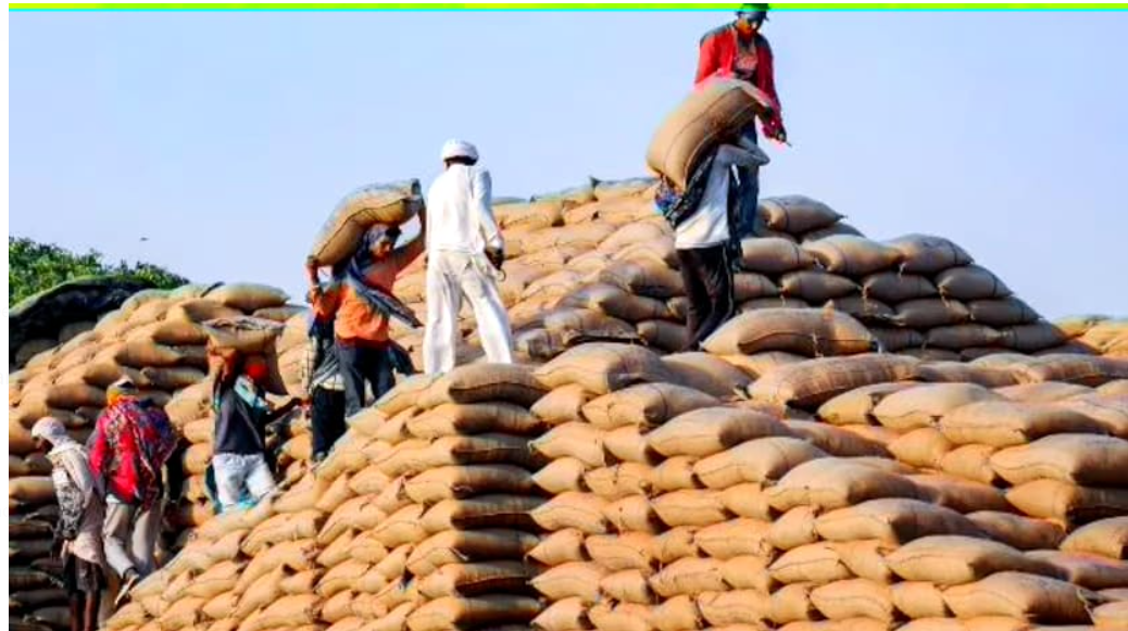 Ministry of Labour & Employment (MoL&E) Launches Building and Other Construction Workers' (BoCW) Management System (MS) Portal.