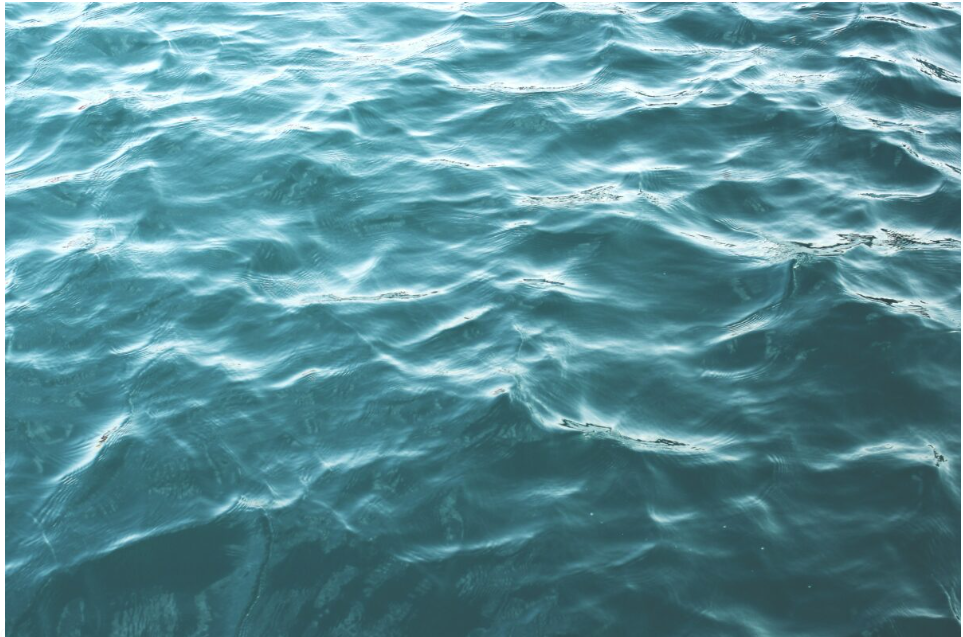 World water week is celebrated on 25 to 29 August 2024.
