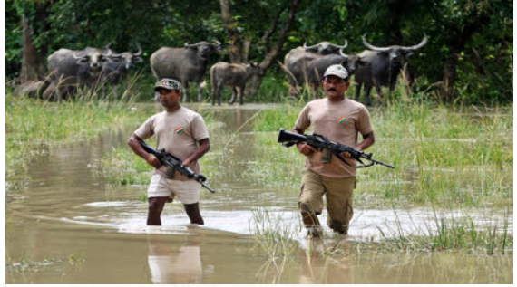 National forest Martyrs is celebrated on 11 September 2024.