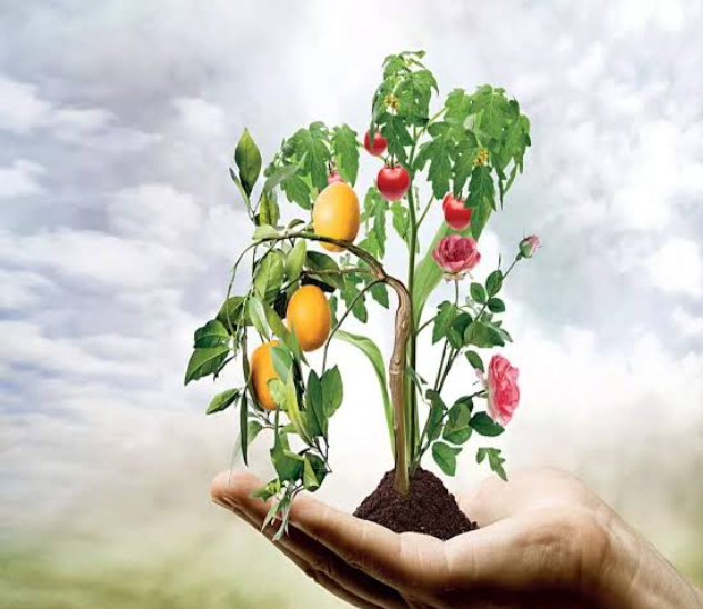 Department of Agriculture and Farmers' Welfare(DoA&FW ) Releases 3rd Advance Estimates for FY24 on Area and Production of Various Horticulture Crops.