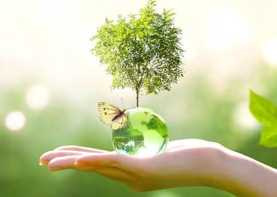 World environmental health day is celebrated on 26 September 2024.
