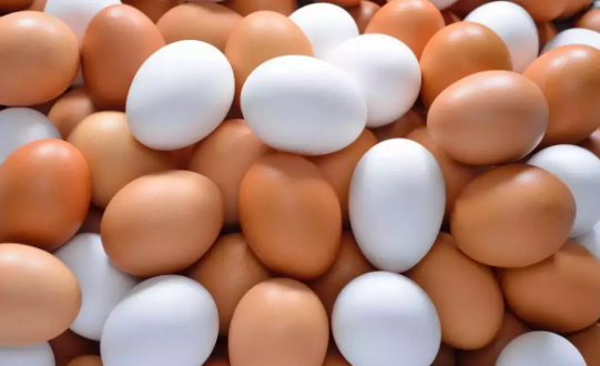 World Egg Day 2024 will be celebrated on October 11.