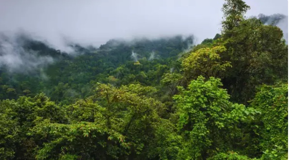 MoEFCC has declared Namdapha National Park and Kamlang Wildlife Sanctuary in Arunachal Pradesh as Eco-Sensitive Zones (ESZ).