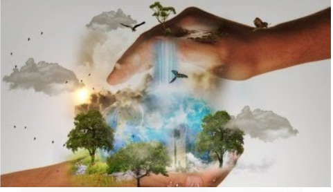 India Ranked 176th in 2024 Global Nature Conservation Index, Labeled as One of the Worst Performers.
