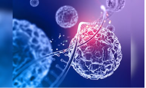 National Cancer Awareness Day is Observed on 7 November 2024.
