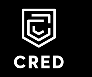 Navi Overtakes Cred to Become 4th Largest UPI App in India.