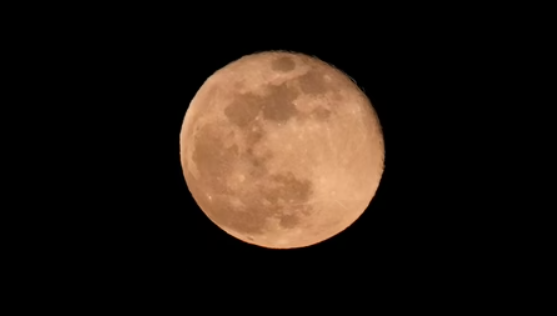 WMF 2025 Watch List Highlights 25 Endangered Cultural Sites, Includes Moon and Two Indian Heritage Sites.