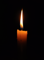 International Day of Commemoration in Memory of Holocaust Victims Observed on January 27, 2025.