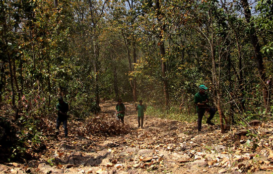 100 Odisha Villages to Receive Direct Funding for Forest Protection under CFR Plans Approved by Ministry of Tribal Affairs (MOTA).