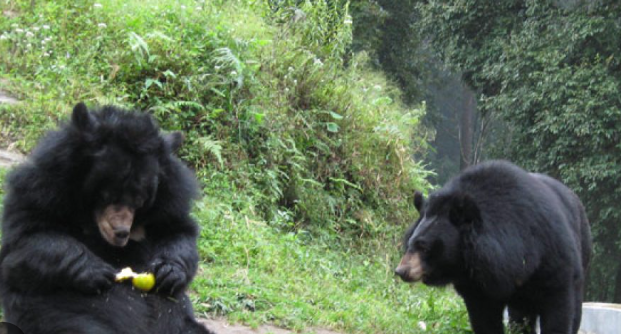 Darjeeling Zoo Recently Unveils India’s First Bio-Bank and Animal Museum.