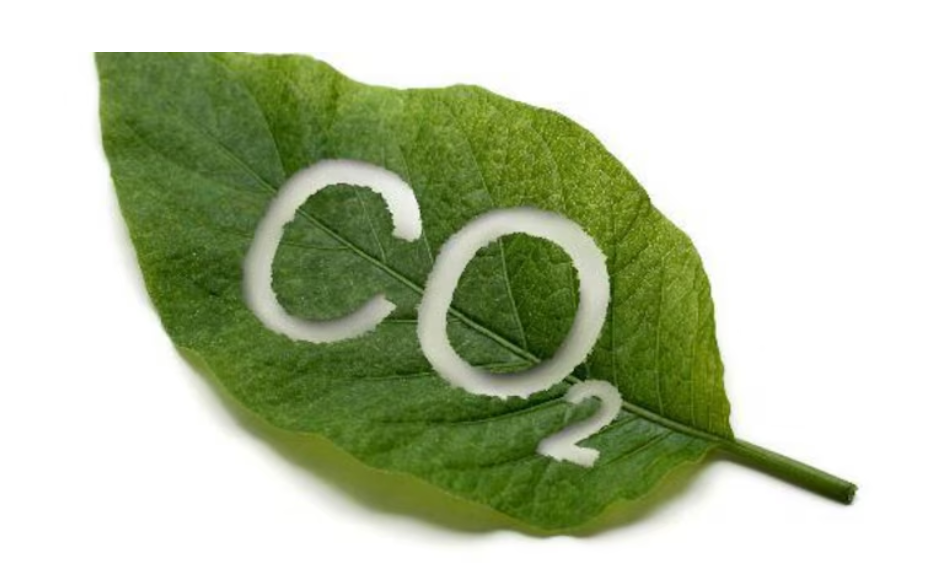 In WMO Report Atmospheric CO2 Levels Hit 420 ppm in 2023, Highest in 800,000 Years.
