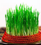 International Nowruz Day Celebrated on 21 March 2025.
