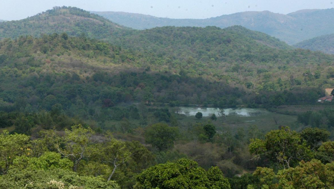 MoEFCC Report Reveals Over 13,000 sq km of Forest Encroached Across India as of March 2024 and Madhya Pradesh Tops the List.