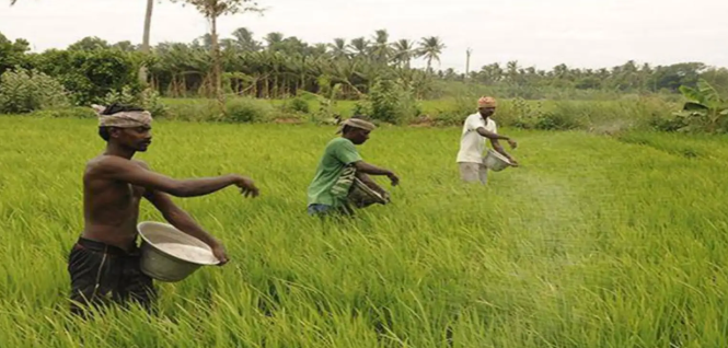 Madhya Pradesh Set to Launch 'Krishak Kalyan Mission' Aimed at Enhancing Farmer Incomes.