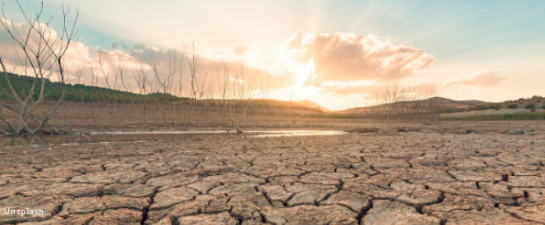 UNDP Joins Global Network to Support Countries in Tackling Climate Change.