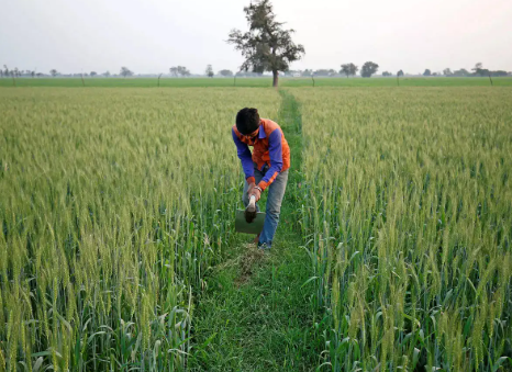 According to MoA&FW Report's 97% Claims Settled under PMFBY and Three Indian States Achieve 100% Payouts.