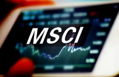 MSCI May 2025 Review: Coromandel and Nykaa Included in Global Standard Index.