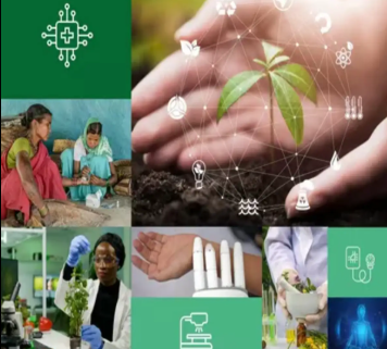 WHO Unveils First AI-Traditional Medicine Roadmap Recognising India’s Global AYUSH Leadership.