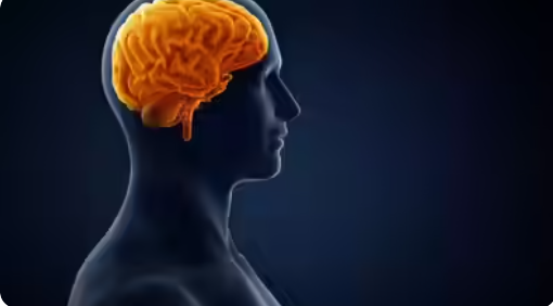  World Brain Day Observed on 22 July 2025.
