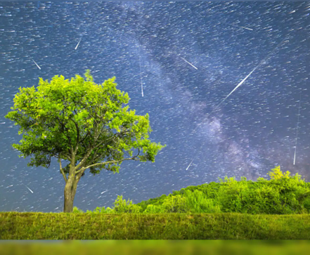 World Nature Conservation Day 2025 Observed Globally on July 28 to Promote Sustainable Use of Earth’s Natural Resources.