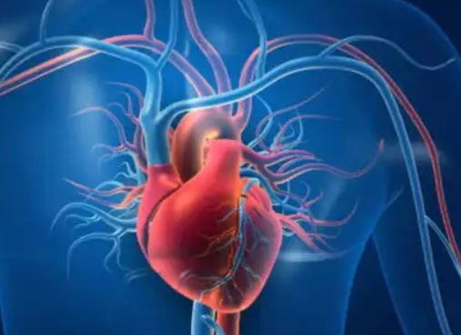 World Heart Day 2025 Observed on September 29 with Theme “Don’t Miss A Beat”.
