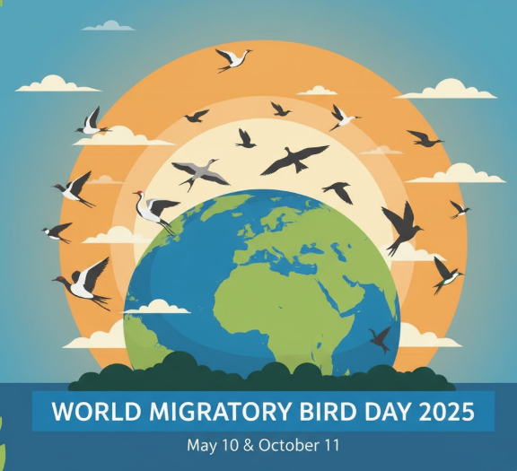 World Migratory Bird Day (WMBD) 2025 to be Observed on May 10 and October 11.
