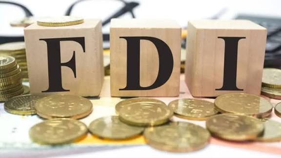 US and Singapore lead FDI inflows: RBI FLA Census 2024-25