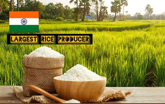 India surpasses China to emerge as the largest rice producer in the world.