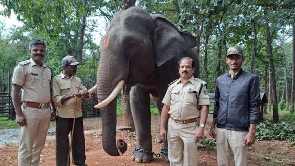 Karnataka Notifies "Cauvery Elephant Reserve" as 34th Elephant Reserve in India.