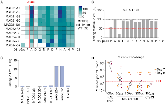 WHO Prequalifies New Malaria Vaccine "R21/Matrix-M" for Global Use.